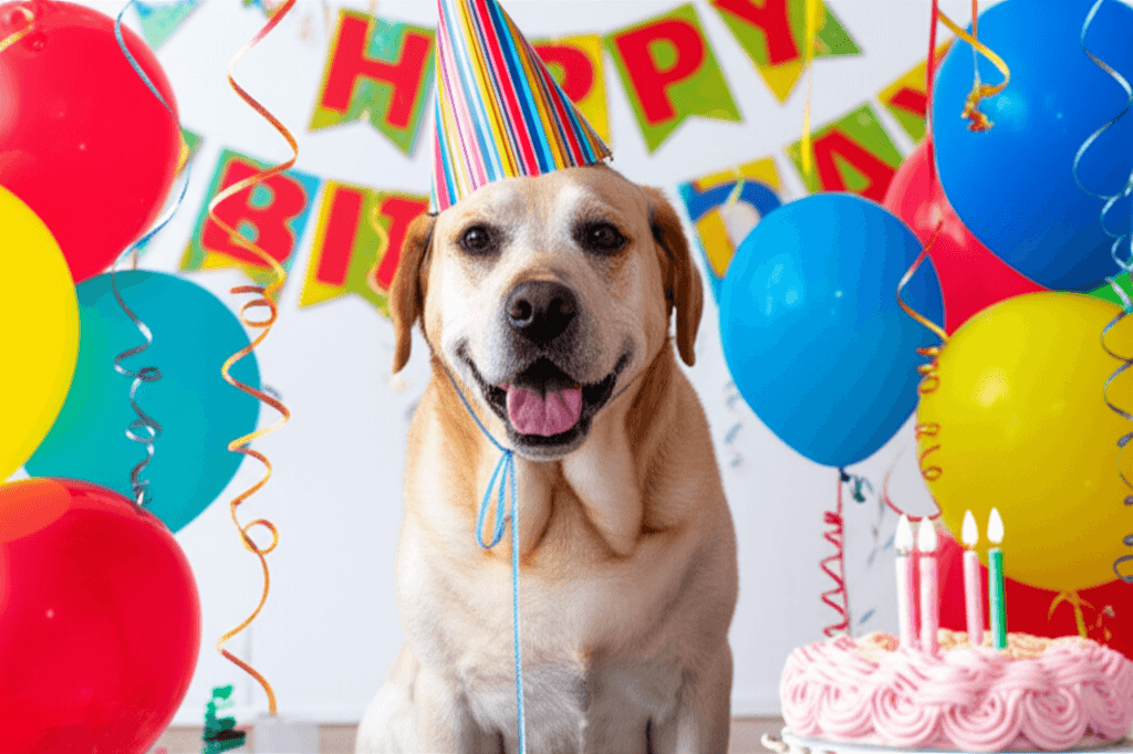 誕生日パーティー